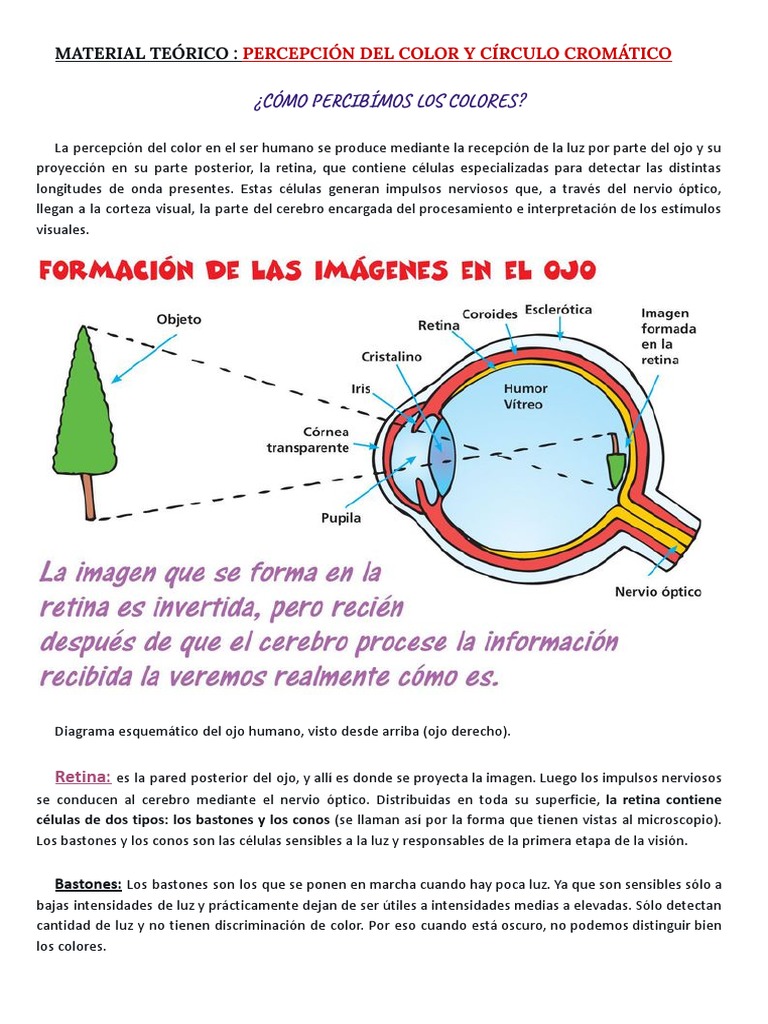 Teoría del Color y Círculo Cromático | PDF | Color | Percepción visual