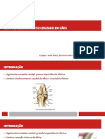 Seminário Patologia Cirúrgica (Slide Correto)