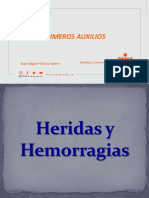 Heridasny Hemorragias_