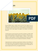 GIRASOLES