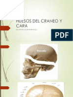 2-Huesos Del Craneo y Cara - 760284187
