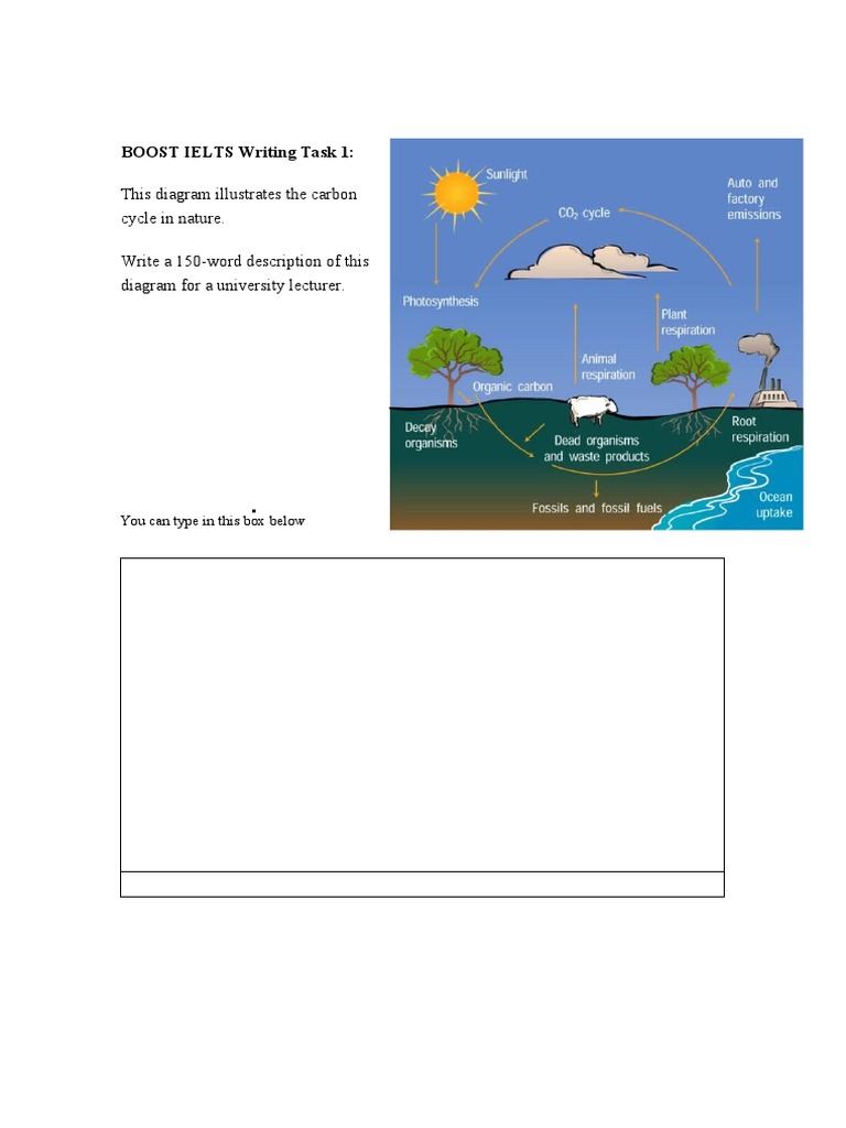 Test Task 1 | PDF | Science & Mathematics