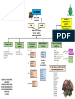 Mapa Conseptual-El Cacao