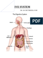 Digestive System: Dr. Kochuthresia Jose