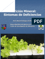 Nutricion_Deficiencias_Macro