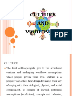 Culture AND Worldview
