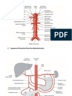 Tronco Celíaco y Arterias Mesentérica Superio e Inferior