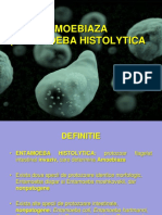 Amoebiaza (Entamoeba Histolytica