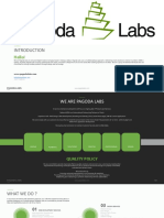Pagoda Labs Company Profile
