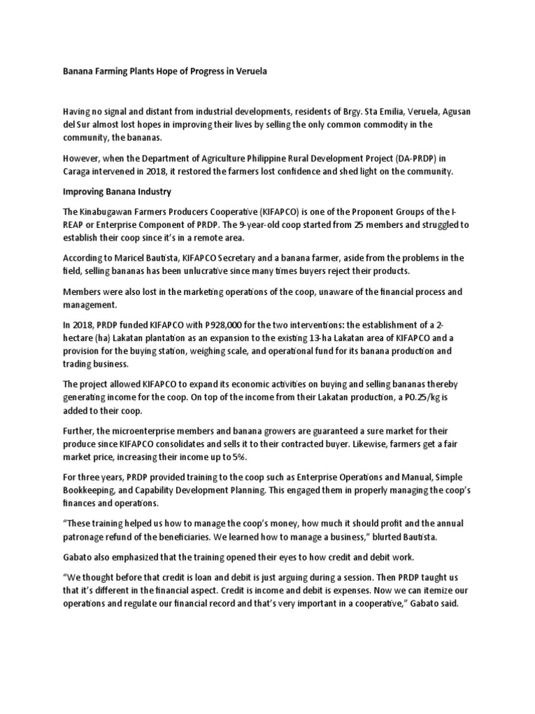 Banana Farming Plants Hope of Progress in Veruela PDF Cooperative