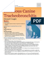 Infectious Canine Tracheobronchitis: (Kennel Cough)