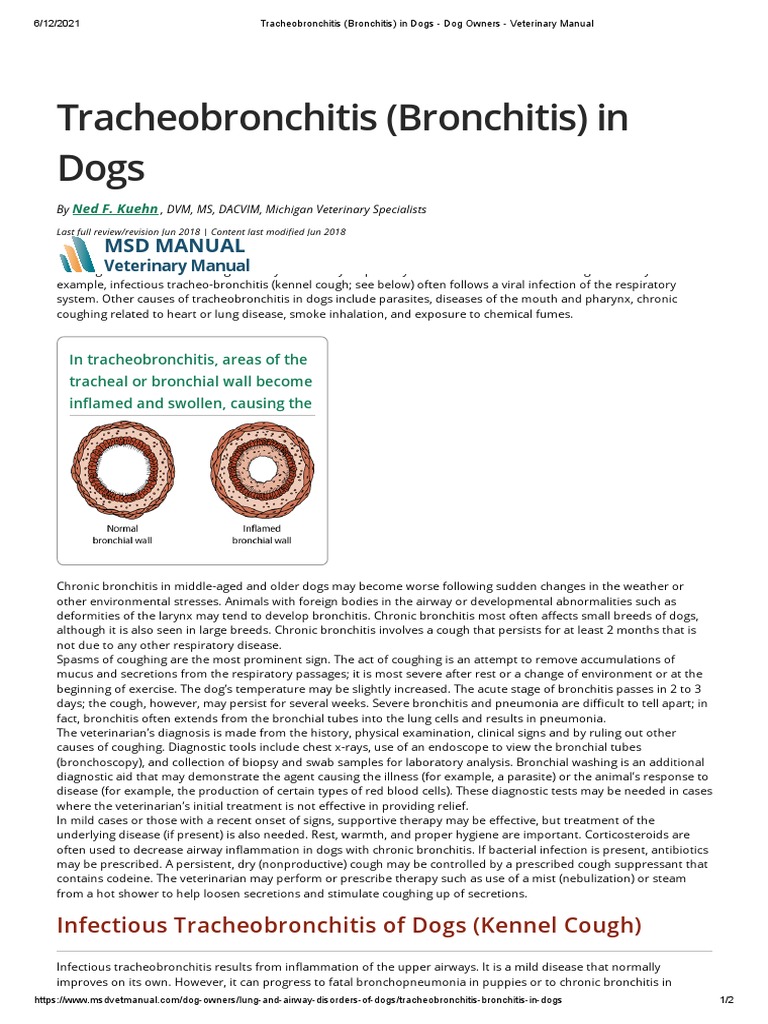 Tracheobronchitis (Bronchitis) in Dogs Dog Owners Veterinary Manual
