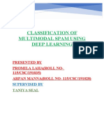 Classification of Multimodal Spam Using Deep Learning