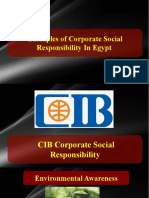 Examples of Corporate Social Responsibility in Egypt Examples of Corporate Social Responsibility in Egypt