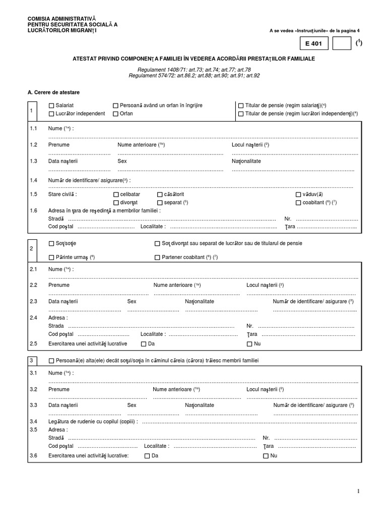 Formular E401 | PDF
