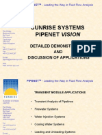Sunrise Systems Pipenet Vision: Detailed Demonstration AND Discussion of Applications