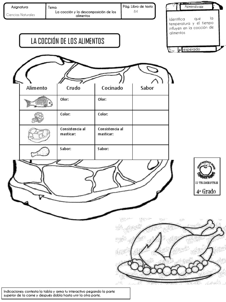 Tema 1.3 La Cocción de Los Alimentos | PDF