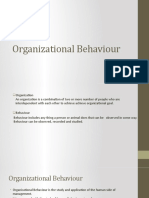 Unit 1 organizationa behaviour
