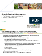 Oromia Regional Government - Phase II Expectations and Workplan