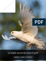 James.H. Mac-Conkey_Le triple secret du Saint-Esprit - EBOOK