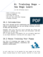 Module 16: Training Dogs - More On How Dogs Learn