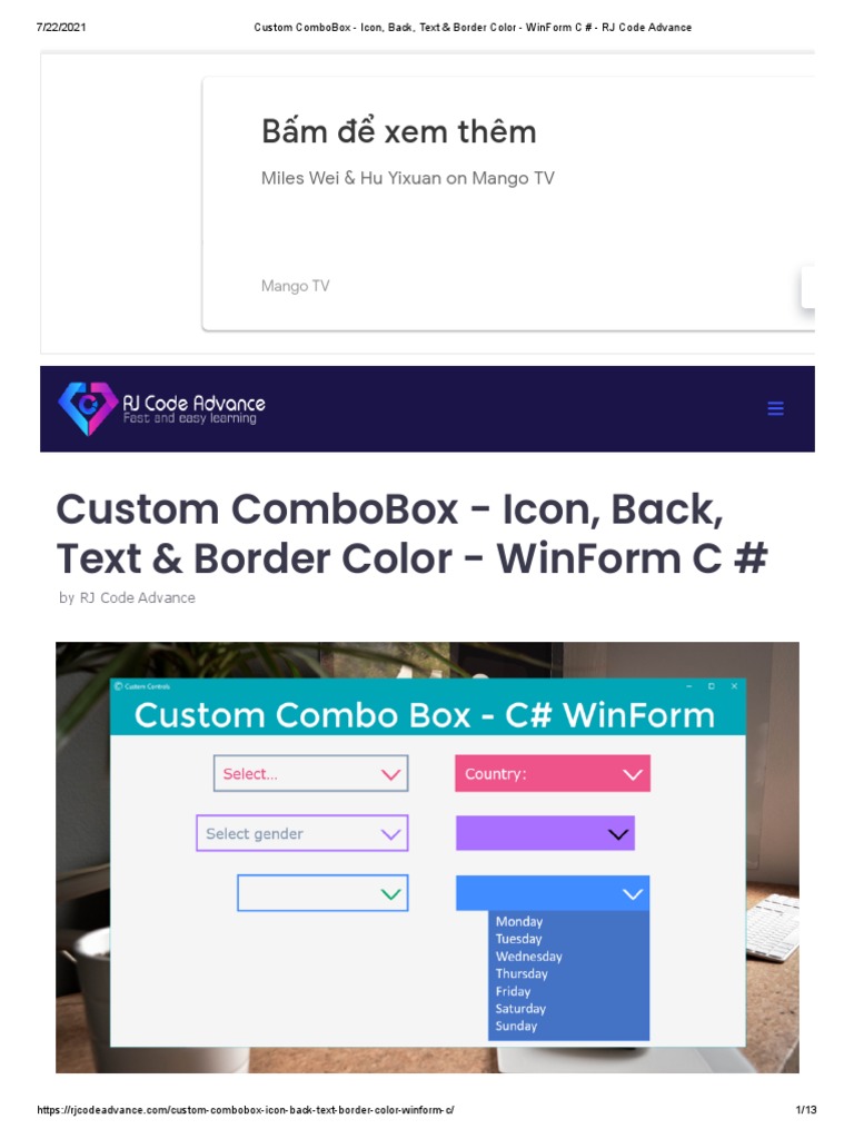 Custom WinForm ComboBox Styling Guide | PDF