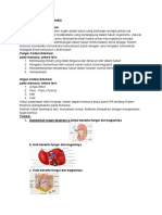 Sistem Eksresi Pada Manusia