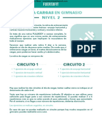 PDF+Fuertafit+ ++Cargas+Gym+Nivel+2