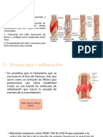 FASES de la consolidacion