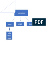 Procesos Cognitivos en Niños