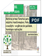 Matérias primas florestais para a indústria.pdff