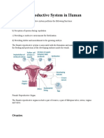 Female Reproductive System in Human.docxenjel