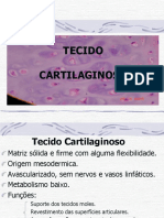 Tecido Conjuntivo Cartilaginoso