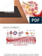 3.CICLO OVARICO Gineco