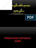 Nervous System Lec 1