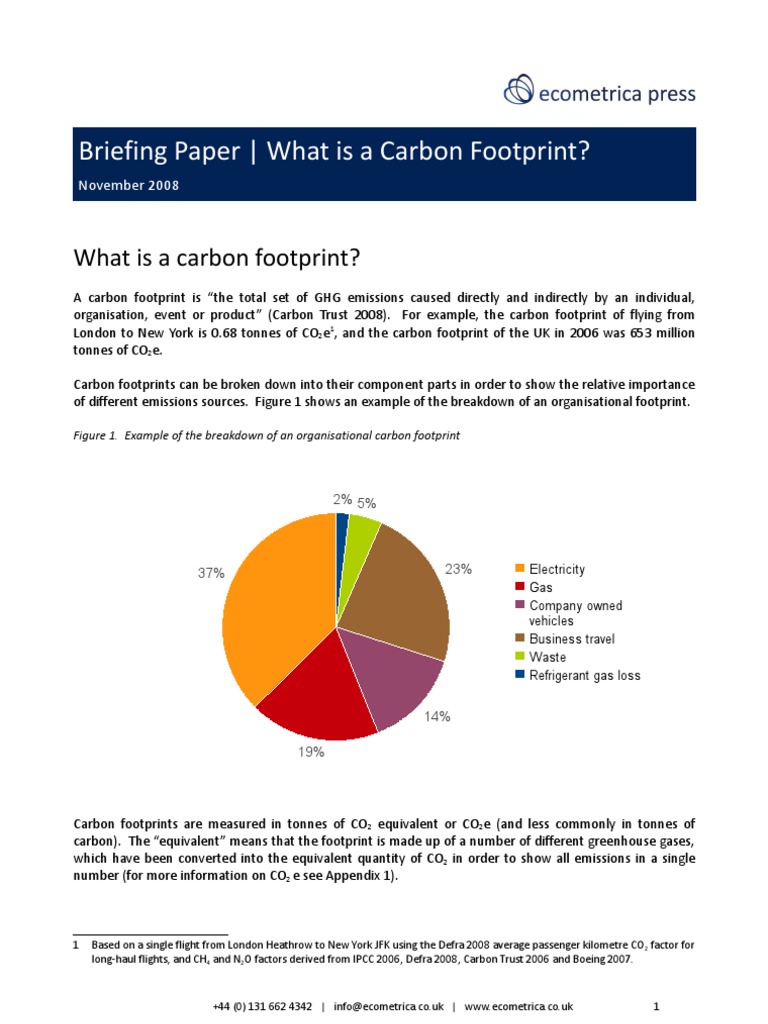 Understanding Carbon Footprints | PDF | Greenhouse Gas | Carbon Footprint