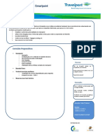 Flyer Curso de Smartpoint 1 Dia 2015