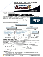 Expresiión algebraica - abad