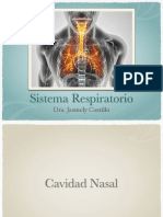 Sistema Respirator i o