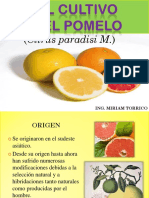 Cultivo Del Pomelo