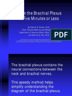 brachial_plex_how_to