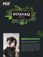 Media Kit Ana Novo Organized Compressed - pitayaq