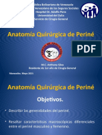 Anatomia Quirurgica de Perine