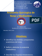 Anatomía Quirurgica de Torax y Mediastino