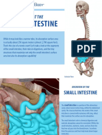 VisibleBody_Small_Intestine_FAST_Exam_eBook_Oct2020