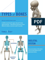 VisibleBody - Types of Bones Ebook - 2018