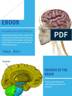 VisibleBody Brain Ebook May2021