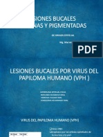 Lesiones Benignas y Pigmentadas