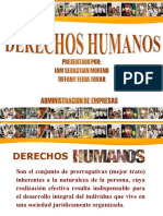 Derechos-Humanos Art4