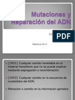 Mutacionesyreparacindeladn 131106203056 Phpapp01